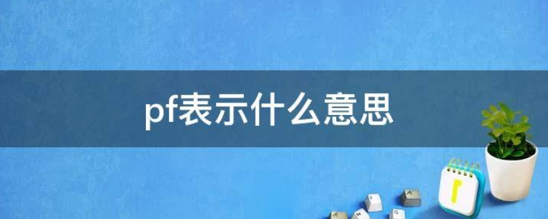 pf表示什么意思,pf是代表什么