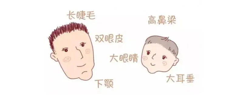 描写人物外貌的段落,描写人物外貌的段落200字