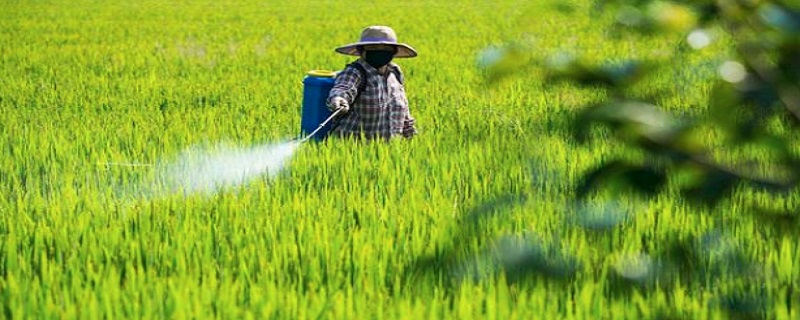 氯氰毒死蜱主要杀什么虫