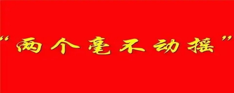 两个毫不动摇的内容是什么,两个毫不动摇的内容是什么三个不变的