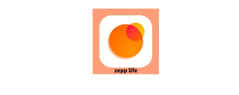 zepp life连接不上手环