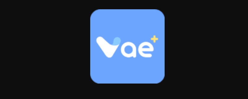 vae+下载了登不了