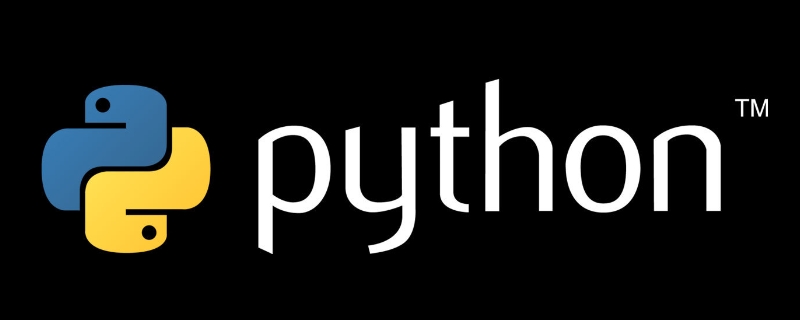 \t是什么意思 python