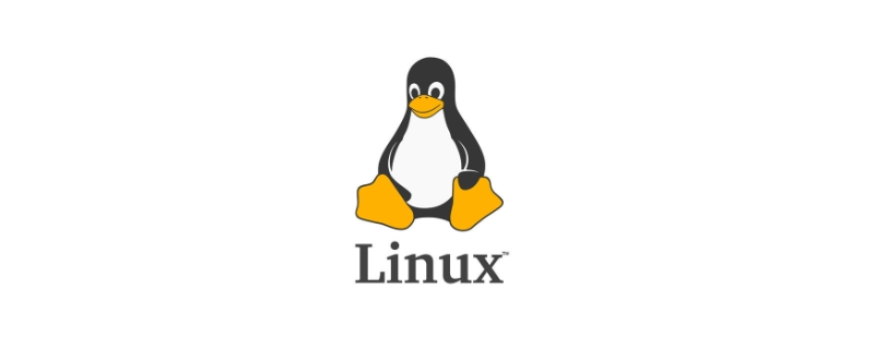 linux中find的用法