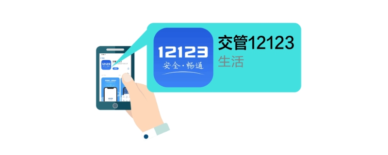 12123跳转不到支付页面