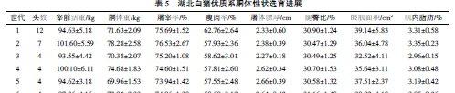 湖北白猪优质系选育情况分析