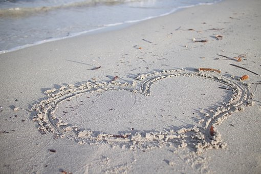 夏秋季鸡主要寄生虫病的防治