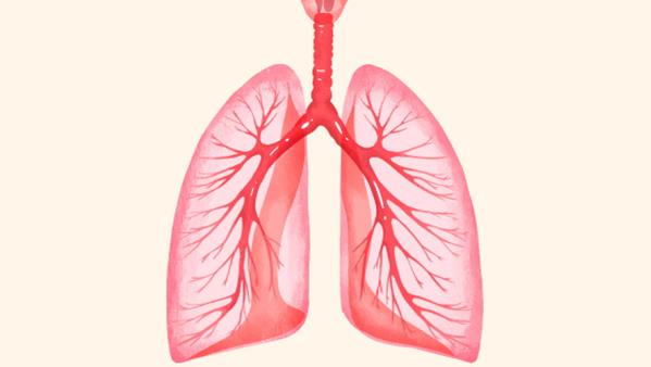 白肺病症状与治疗方法详解，如何有效应对白肺病