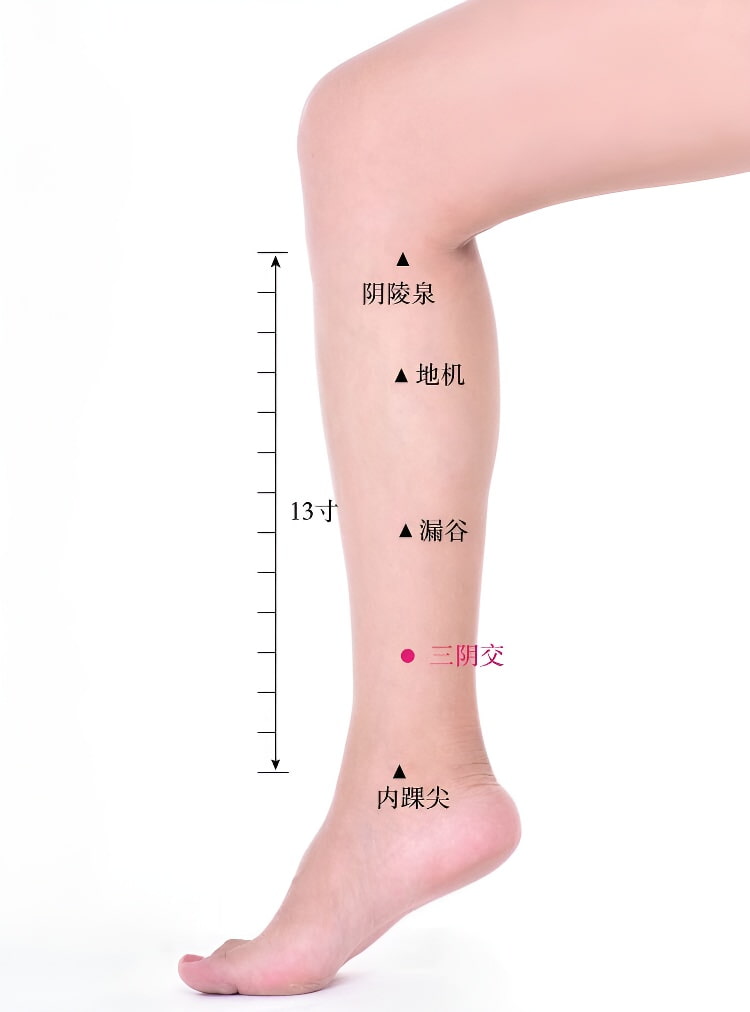 三阴交穴位位置及健康作用详解