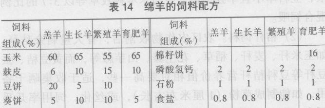 草饲料饲喂绵羊的方法