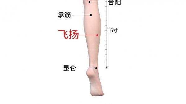 飞扬穴位置与功效：缓解头痛腰痛、调理泌尿系统