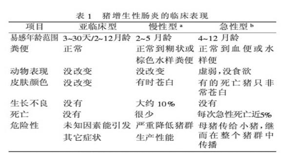 猪增生性肠炎的临床症状与防治措施