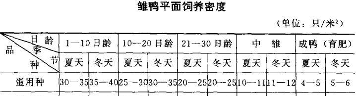 雏鸭的饲养管理注意事项