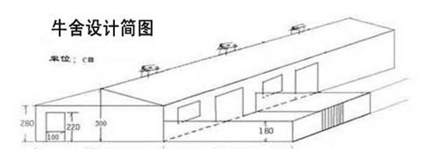 养牛场设计图及建设方案