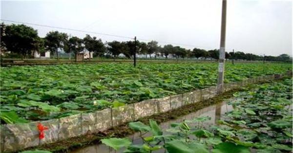 日常管理要求