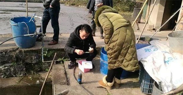 鱼病发生时应采取哪些措施