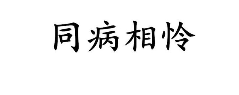 同病相怜形容什么