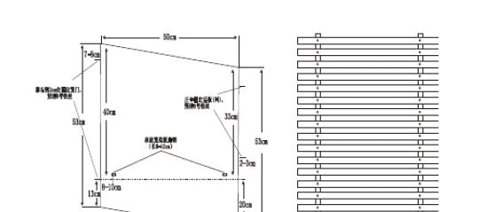 獭兔的养殖技术