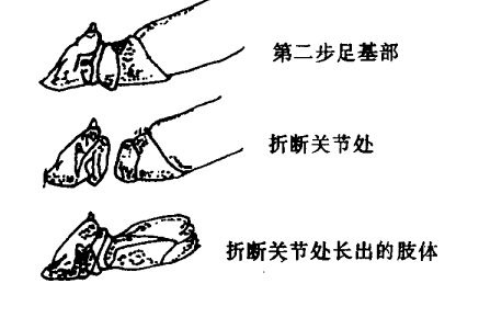 河蟹饲养管理技术