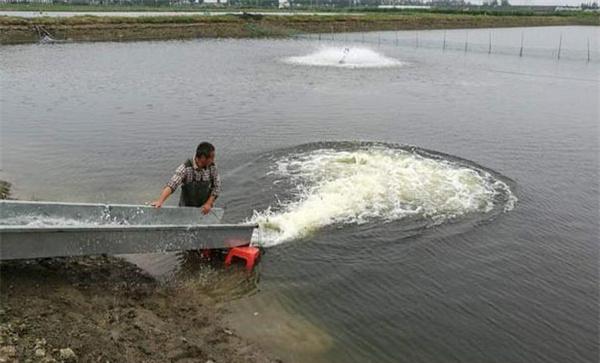 虾池在什么情况下必须换水