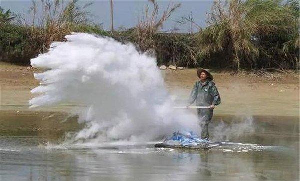 成鱼池药物清塘主选药