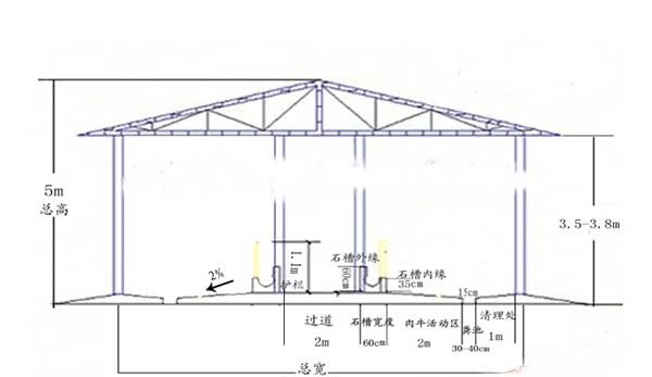 肉牛养殖场建设方案