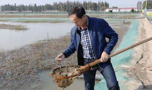 怎样考虑气象条件进行养蟹池的饲养管理