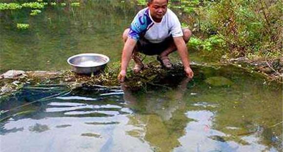 鱼水霉病怎么治疗