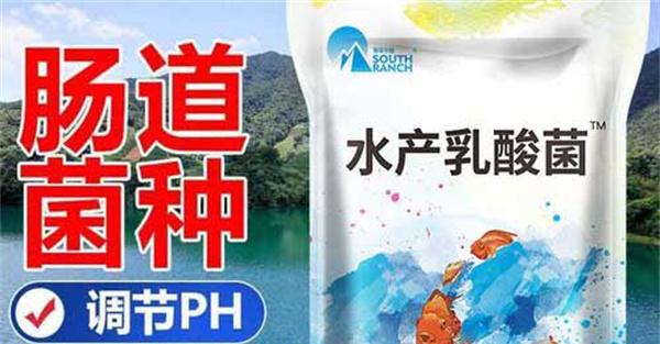 水产乳酸菌什么时间使用效果好