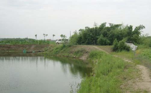 对虾养殖基地的虾池建造要求