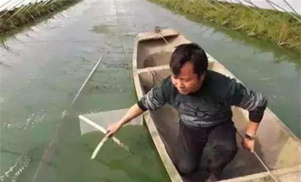 注重培育好饵料生物