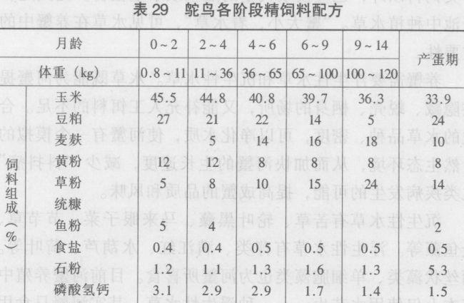 用草料养殖鸵鸟的方法