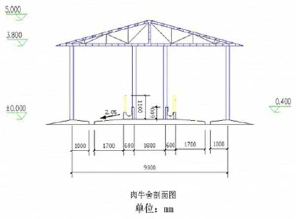 养牛技术